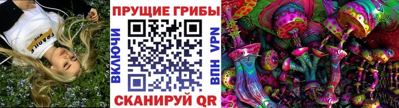 мега tor  что такое   Правдинск  Псилоцибиновые грибы MAGIC MUSHROOMS 