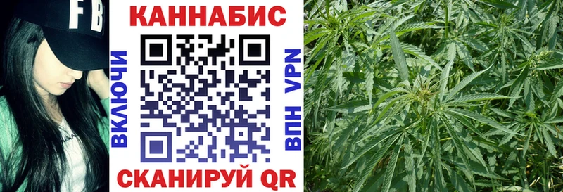 Марихуана план  Правдинск 